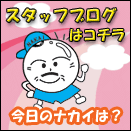 �i�J�C�̃u���O�͂�����I