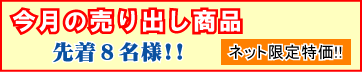 �C���^�[�l�b�g����̓����ł��I